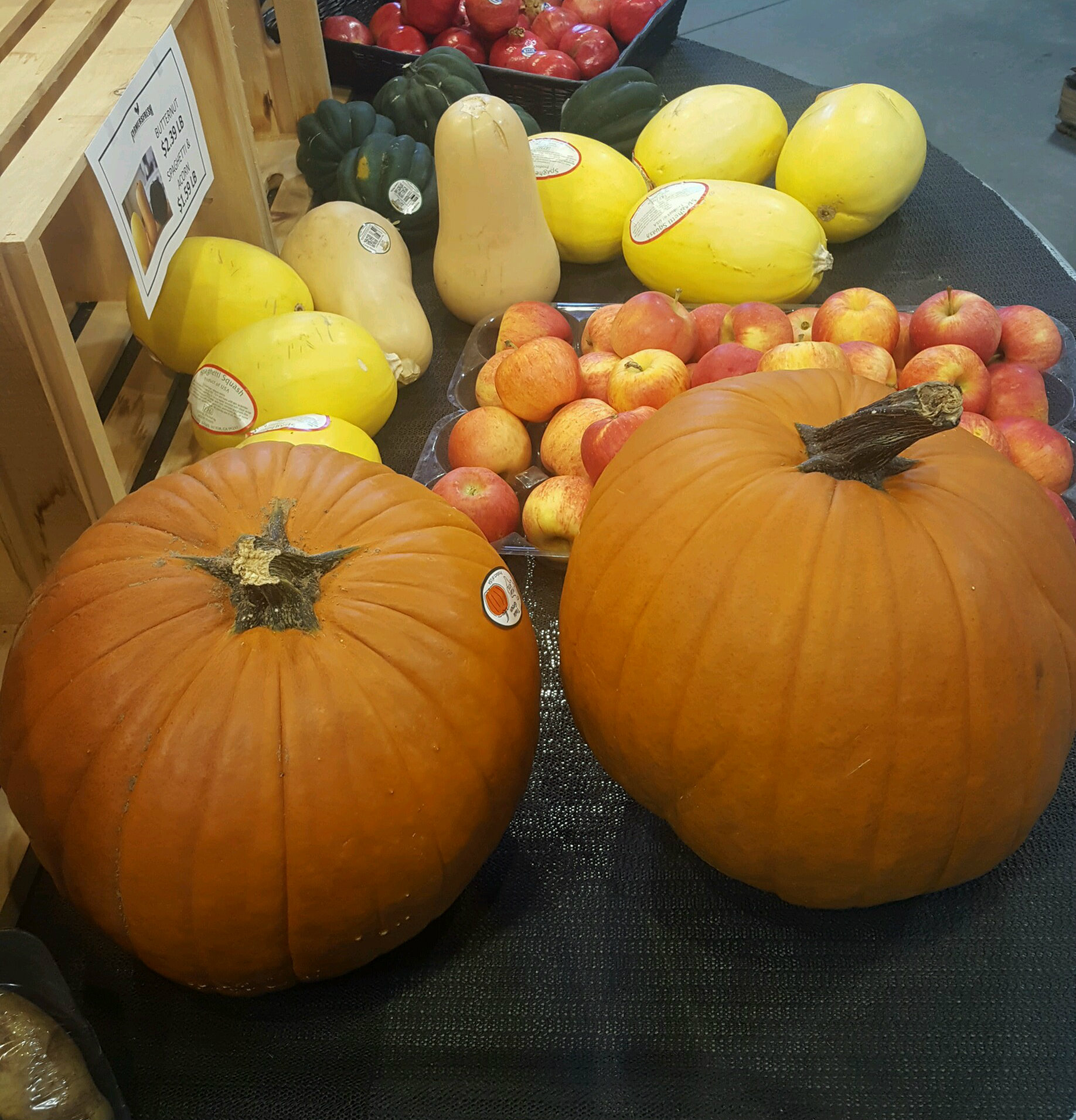 Pumpkins…Rich Color…Crisp Air = Autumn