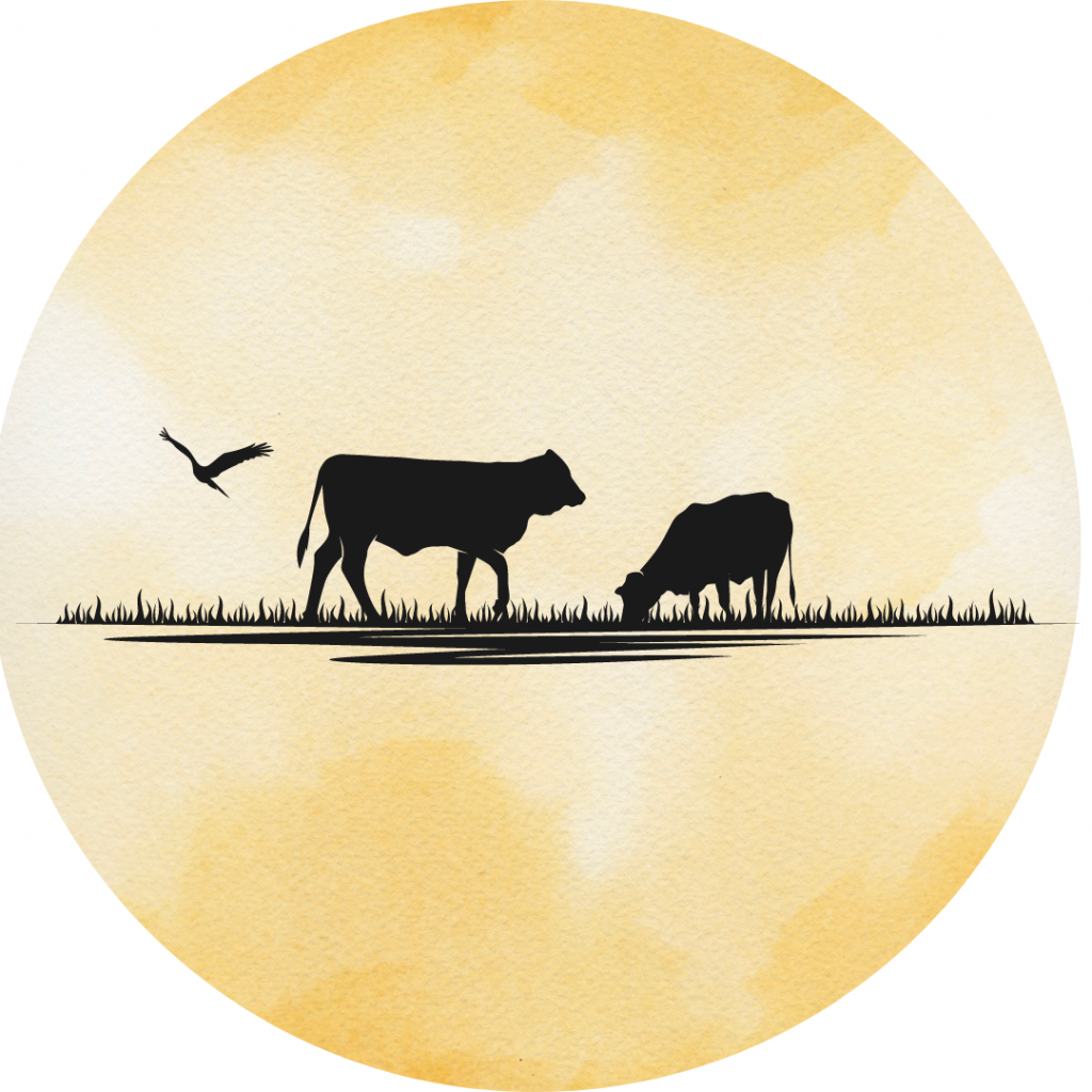 Farmers Fresh Feed Store Supplies for all your Ranching needs